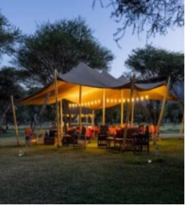 SERENGETI HOUSE OF NATURE 
